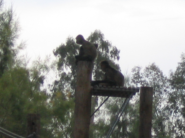 618x457 pixels (143K)